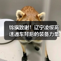 锦旗致谢!辽宁凌绥高速通车背后的装备力量(图2) 锦旗致谢!辽宁凌绥高速通车背后的装备力量(图2)