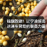 锦旗致谢!辽宁凌绥高速通车背后的装备力量(图4) 锦旗致谢!辽宁凌绥高速通车背后的装备力量(图4)