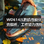 WD614压路机性能优势解析，工作能力强稳定性好（图1）
