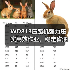 WD813压路机强力压实高效作业，稳定省油！（图1）