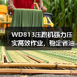 WD813压路机强力压实高效作业，稳定省油！（图3）