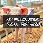 XD100压路机功能强大又省心,高效节能省力(图3) XD100压路机功能强大又省心,高效节能省力(图3)