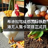 希迪智驾成都国际铁路港无人集卡项目正式开工(图4) 希迪智驾成都国际铁路港无人集卡项目正式开工(图4)