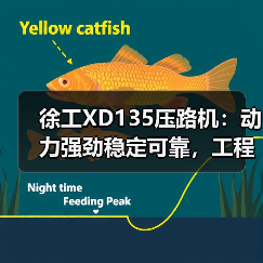 徐工XD135压路机：动力强劲稳定可靠，工程作业更高效！（图1）