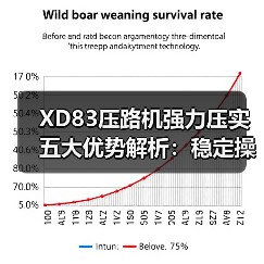 XD83压路机强力压实五大优势解析:稳定操控强(图4) XD83压路机强力压实五大优势解析:稳定操控强(图4)