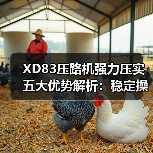 XD83压路机强力压实五大优势解析:稳定操控强(图3) XD83压路机强力压实五大优势解析:稳定操控强(图3)