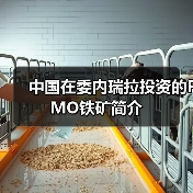 中国在委内瑞拉投资的FMO铁矿简介(图4) 中国在委内瑞拉投资的FMO铁矿简介(图4)