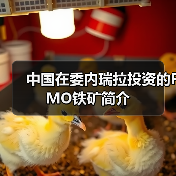 中国在委内瑞拉投资的FMO铁矿简介(图3) 中国在委内瑞拉投资的FMO铁矿简介(图3)