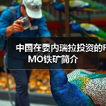 中国在委内瑞拉投资的FMO铁矿简介(图2) 中国在委内瑞拉投资的FMO铁矿简介(图2)