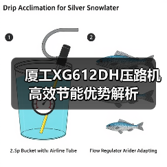 厦工XG612DH压路机高效节能优势解析（图2）