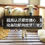 提高认识坚定信心，强化基础靶向攻坚！宝武资源全面部署2026（图3）