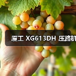 厦工 XG613DH 压路机（图4）