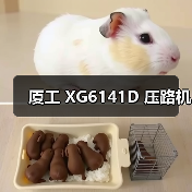 厦工 XG6141D 压路机（图2）
