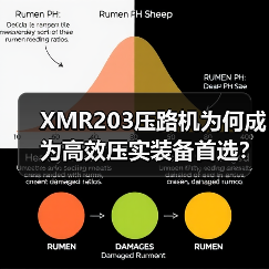 XMR203压路机为何成为高效压实装备首选？（图4）