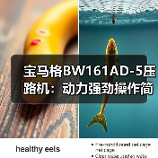宝马格BW161AD-5压路机：动力强劲操作简便 高效压实作业新选择（图1）