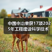 中国中冶荣获17项2025年工程建设科学技术奖（图4）