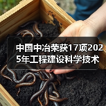 中国中冶荣获17项2025年工程建设科学技术奖（图2）