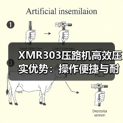 XMR303压路机高效压实优势：操作便捷与耐用性解析（图3）