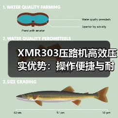 XMR303压路机高效压实优势：操作便捷与耐用性解析（图1）