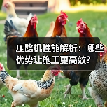 压路机性能解析:哪些优势让施工更高效?(图3) 压路机性能解析:哪些优势让施工更高效?(图3)