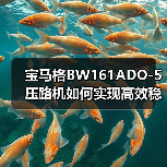 宝马格BW161ADO-5压路机如何实现高效稳定压实?(图3) 宝马格BW161ADO-5压路机如何实现高效稳定压实?(图3)