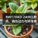 BW170AD-2AM压路机：强劲动力与环保高效如何兼得（图1）
