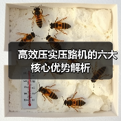 高效压实压路机的六大核心优势解析(图3) 高效压实压路机的六大核心优势解析(图3)