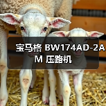 宝马格 BW174AD-2AM 压路机（图4）