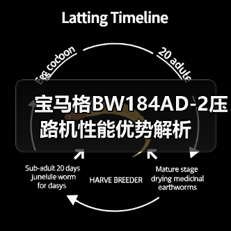 宝马格BW184AD-2压路机性能优势解析（图3）