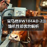 宝马格BW184AD-2压路机性能优势解析（图2）