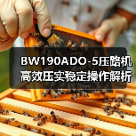 BW190ADO-5压路机高效压实稳定操作解析(图1) BW190ADO-5压路机高效压实稳定操作解析(图1)