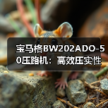 宝马格BW202ADO-50压路机:高效压实性能与耐用性解析(图1) 宝马格BW202ADO-50压路机:高效压实性能与耐用性解析(图1)