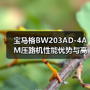 宝马格BW203AD-4AM压路机性能优势与高效施工解决方案(图2) 宝马格BW203AD-4AM压路机性能优势与高效施工解决方案(图2)