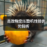 高效稳定压路机性能优势解析（图1）