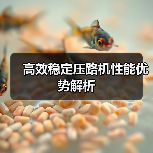 高效稳定压路机性能优势解析（图2）