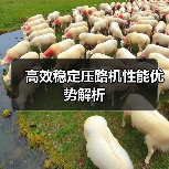 高效稳定压路机性能优势解析（图3）