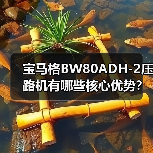 宝马格BW80ADH-2压路机有哪些核心优势？（图1）