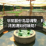 华发股份高层调整，利润困境如何破局？（图2）