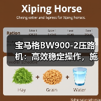 宝马格BW900-2压路机:高效稳定操作,施工首选(图3) 宝马格BW900-2压路机:高效稳定操作,施工首选(图3)