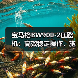 宝马格BW900-2压路机:高效稳定操作,施工首选(图4) 宝马格BW900-2压路机:高效稳定操作,施工首选(图4)
