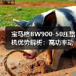 宝马格BW900-50压路机优势解析:高功率动力+灵活操控(图3) 宝马格BW900-50压路机优势解析:高功率动力+灵活操控(图3)
