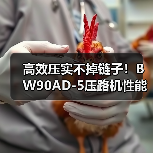 高效压实不掉链子！BW90AD-5压路机性能全解析（图2）