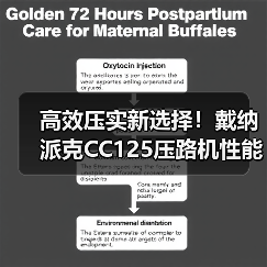 高效压实新选择!戴纳派克CC125压路机性能解析(图1) 高效压实新选择!戴纳派克CC125压路机性能解析(图1)