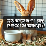 高效压实新选择!戴纳派克CC125压路机性能解析(图4) 高效压实新选择!戴纳派克CC125压路机性能解析(图4)