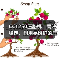 CC1250压路机:高效稳定,耐用易维护的压实利器(图3) CC1250压路机:高效稳定,耐用易维护的压实利器(图3)