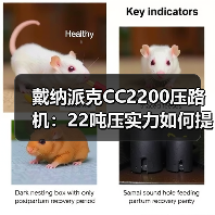 戴纳派克CC2200压路机:22吨压实力如何提升施工效率?(图1) 戴纳派克CC2200压路机:22吨压实力如何提升施工效率?(图1)
