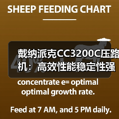 戴纳派克CC3200C压路机：高效性能稳定性强耐用性好维护便捷环保实用（图1）