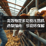 高效稳定多功能压路机选型指南：节能环保解析（图4）