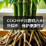 CC624HF压路机六大优势解析：维护便捷性能卓越（图2）
