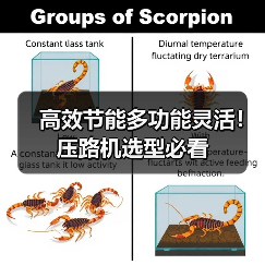 高效节能多功能灵活!压路机选型必看(图3) 高效节能多功能灵活!压路机选型必看(图3)